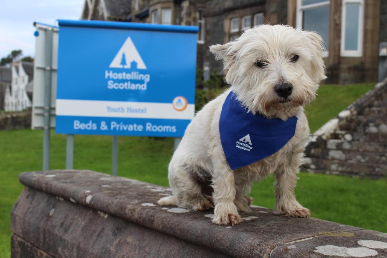 Oban Youth Hostel Eksteriør billede The West Highland White Terrier is the official dog of the AA